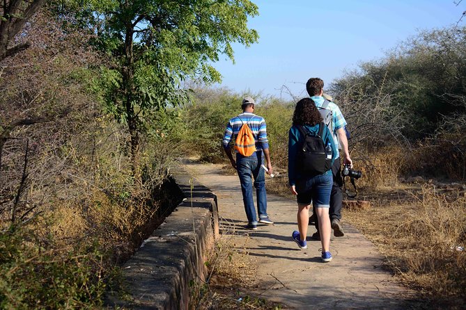 Nahargarh Water Walk - Guided 2-Hour Heritage Tour in Jaipur - Why a water-themed heritage walk makes Jaipur click