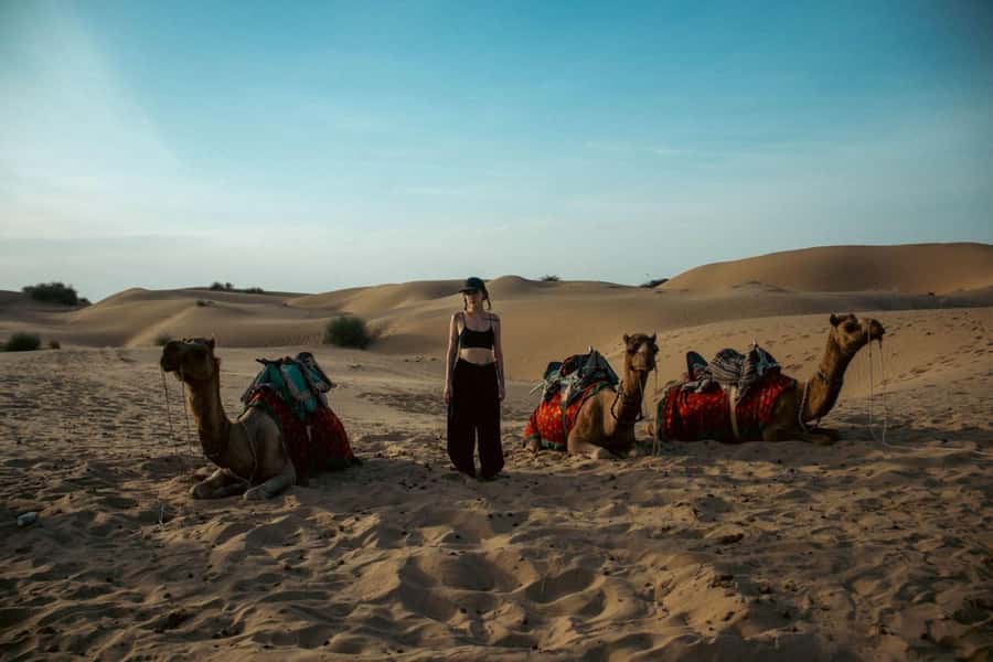 Nomadic Non-Touristic Overnight Camel & Desert Safari Tour - Sleeping on the dunes under a true open sky