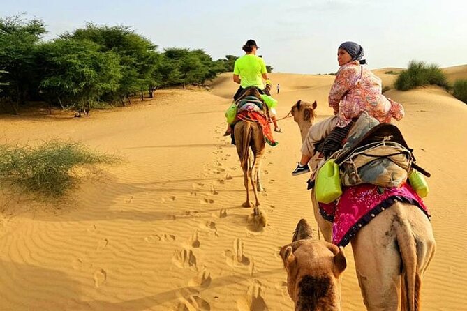 Nomadic Non-Touristic Overnight Tour & camel Safari - Key things to know before you go