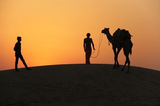 Nomadic Non-Touristic Overnight Tour & camel Safari - Jaisalmer pickup and what you need to plan for