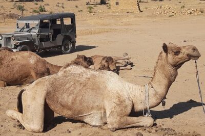 Off the beaten track overnight Camel Safari Tour Jaisalmer