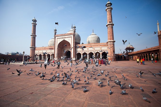 Old Delhi Street Food Tour – Explore Spices in Chandni Chowk - Entering Old Delhi by tuk tuk, not by suffering
