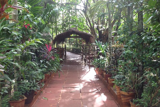 Old Goa Churches, Temples & Spice Plantation With "Goan" Lunch - St. Augustine’s Tower: quick Bollywood moments, then back to real history