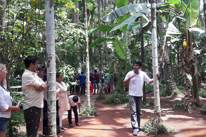 Old Goa Churches, Temples & Spice Plantation With "Goan" Lunch - Tropical Spice Plantation and Goan lunch: two hours that are more than a meal