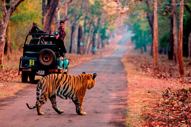One Way Transfer Jaipur to Sawai Madhopur Hotels In AC Vehicle - Private pick-up and drop: control your arrival point