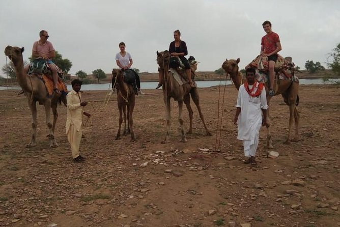 Over Night Camel Safari - Key highlights you’ll care about
