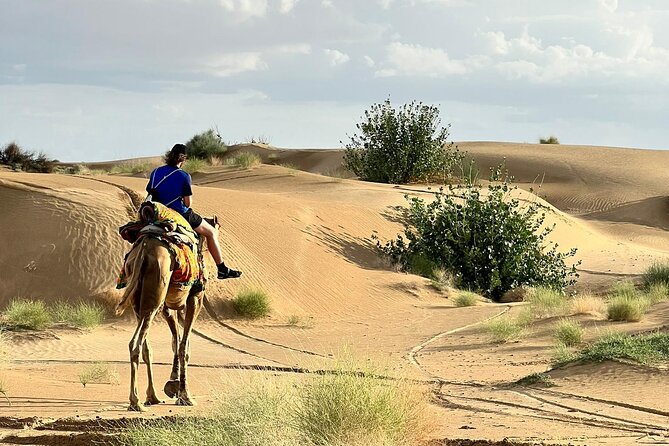Overnight Camel Safari in Thar Desert - Jeep ride to the dunes: more than just transportation