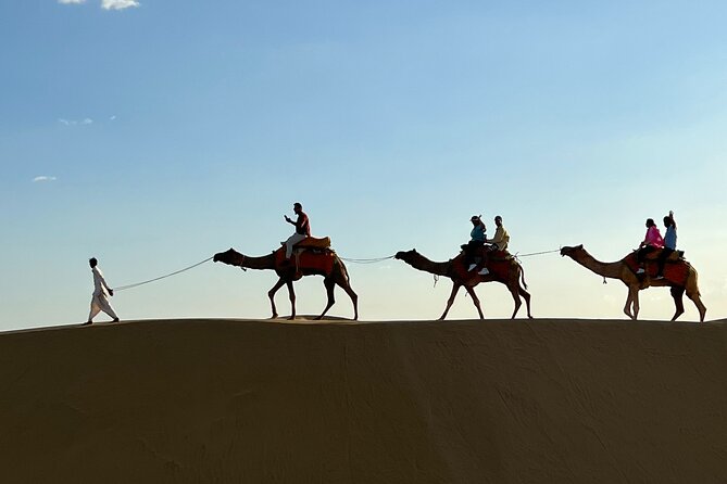 Overnight Camel Safari in Thar Desert - Stop 2: Jaseri pond, a nature break before camel time