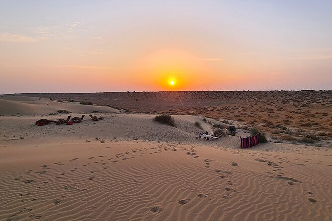 Overnight Camel Safari: Non-Touristic, Sleep Under the Stars! - Key Highlights You Should Not Miss