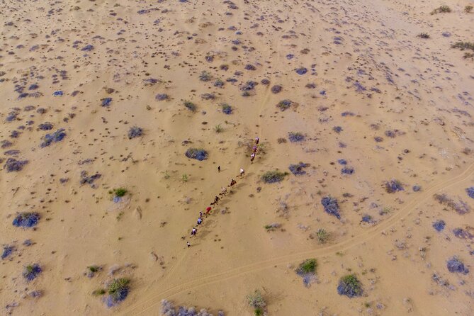 Overnight Camel Safari - Sleeping under the Stars - Key Points at a Glance