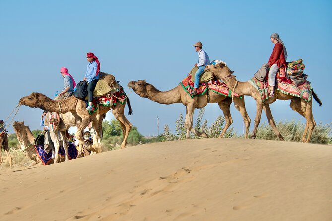 Overnight Camel Safari - Sleeping under the Stars - Why This Jaisalmer Camel Safari Feels Like the Thar Desert