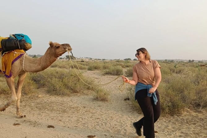 Overnight Camel Safari Tour - Key Highlights You’ll Feel Immediately