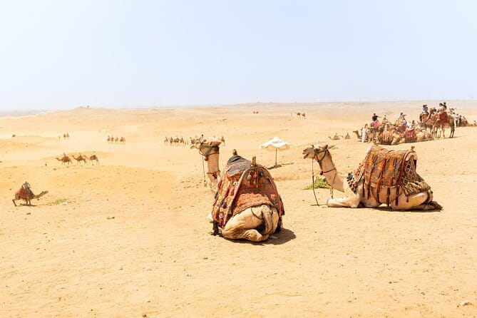 Overnight Camel Safari Tour - Day 1 on the Dunes: Khaba, Oasis Stops, Sunset, and Dinner by Bonfire