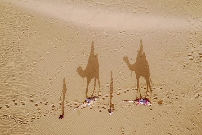 Overnight Camel Safari Tour - The Camel Ride Reality Check: What the 90 Minutes Feels Like