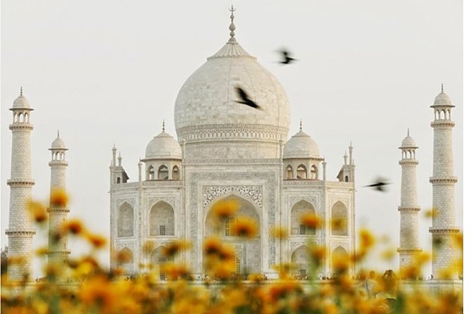 Overnight trip to Delhi and Agra - Day 1 in Delhi: Qutub Minar sets the tone fast