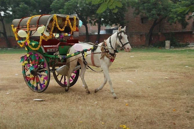Overnight trip to Delhi and Agra - Old Delhi by rickshaw: where the trip gets human