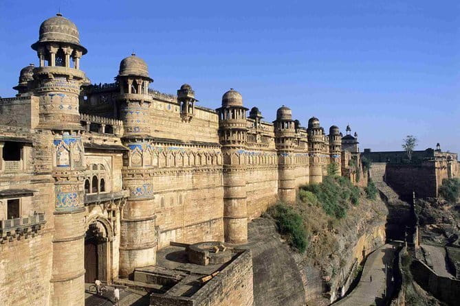 Panna National Park and Tiger Reserve Jeep Safari from Khajuraho - What you can look for: tigers, ghariyals, and a full wildlife mix