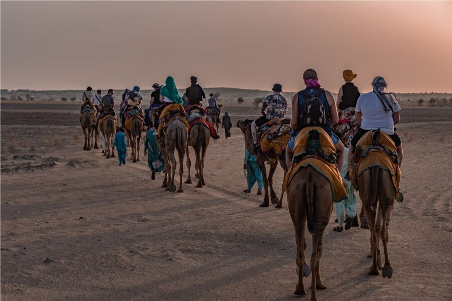 Peeps Billions of Star Experience with Desert & Camel Safari - Day 2 sunrise, breakfast, and the final camel ride
