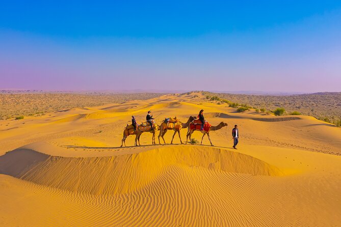 Pleasant Non-Touristic Overnight Camel Safari (From 2:00 PM to Approx. 10:30AM) - Key Points Before You Go