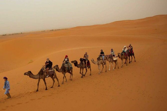 Pleasant Non-Touristic Overnight Camel Safari (From 2:00 PM to Approx. 10:30AM) - The Afternoon Start: Leaving from Hotel Pleasant Haveli