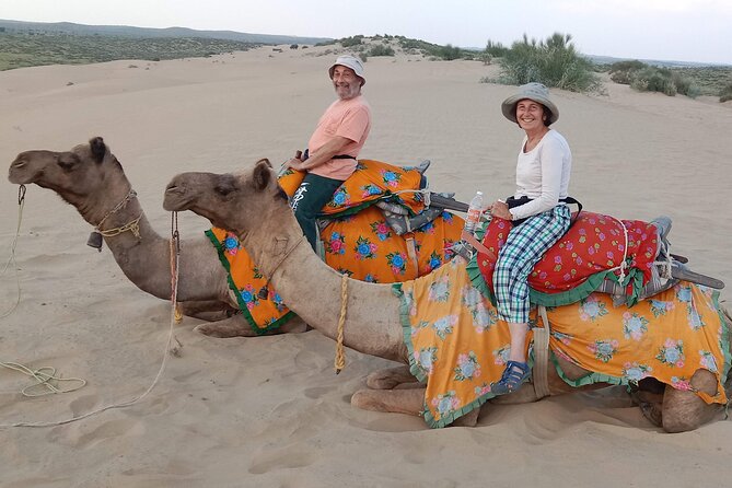 Pleasant Non-Touristic Overnight Camel Safari (From 2:00 PM to Approx. 10:30AM) - Price and What You Actually Get for About $40