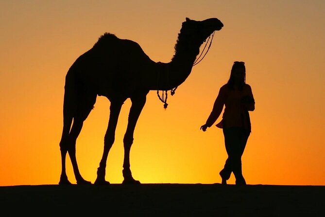 Pleasant Sunset Safari With Dinner On Dunes (From 2:00 PM to Approx. 10:00 PM) - Key highlights to know before you go