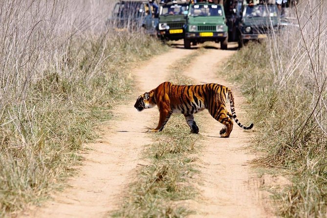 Private 2 Nights Short Escape To Jim Corbett - Day 1: The drive out of Delhi and a calm check-in