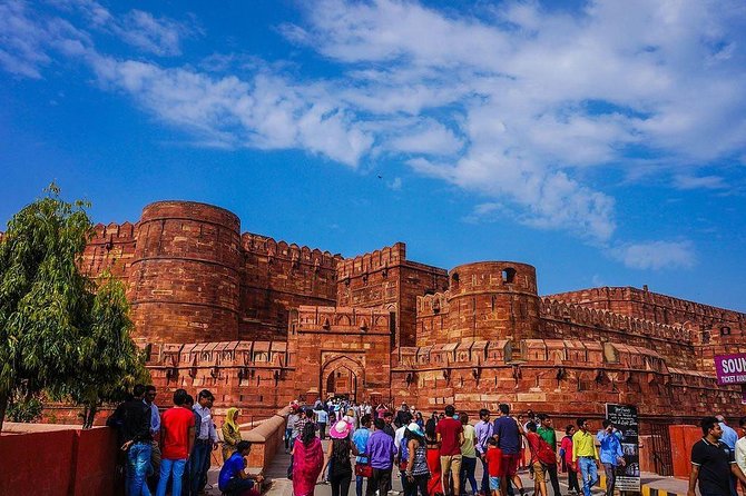 Private 3-Day Ranthambhore Tiger Tour from Agra ending in Jaipur - Price and logistics: what you are really paying for at $477.47