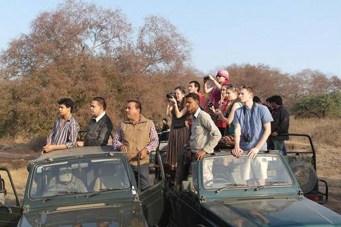 Private 4-Day Wildlife & Taj Mahal Tour from Jaipur to Delhi - Price and value: what $203.67 really buys