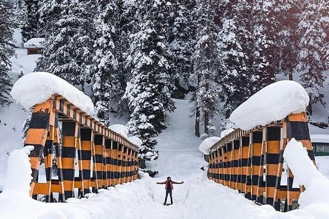 Private 5-Day Charming Kashmir Package Tour from Srinagar - What this private Kashmir tour really feels like
