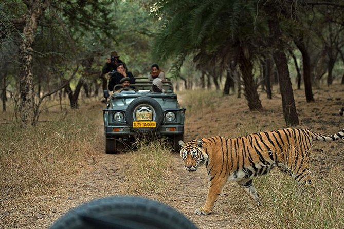 Private 5-Day Ranthambhore Tiger Tour from Delhi including the Taj Mahal, Agra and Jaipur - Agra Day 2: Taj Mahal at sunrise, plus Agra Fort