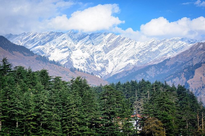 Private 6 Days Shimla Kullu Manali Tour From Chandigarh - Day 2 in Shimla: Kufri, temples, and the Ridge-Mall loop