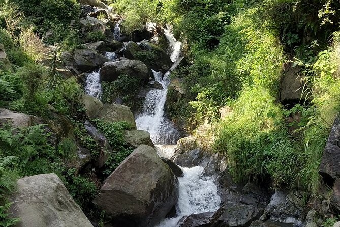 Private 6 hrs Mcleodganj & Dharamshala City Tour - Naddi View Point: Your First Big Look at McLeod Ganj