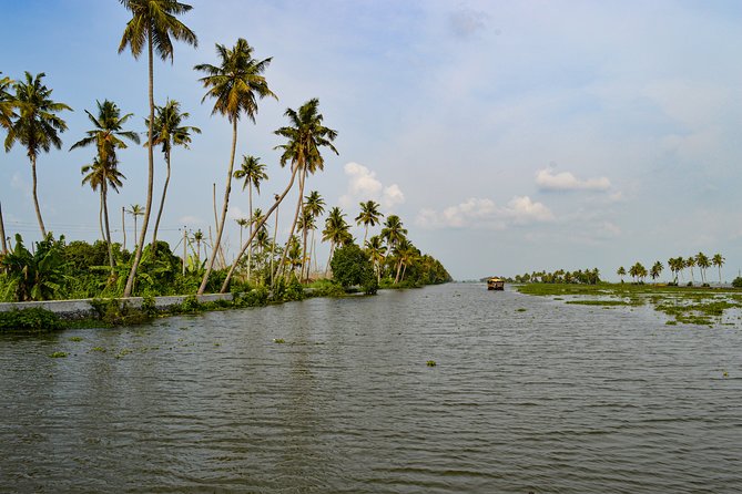 Private Alleppey Backwater Houseboat DayTour with Taxi from Kochi - Kochi Pickup and the Private Timing That Keeps It Easy