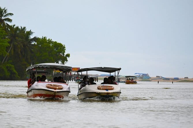 Private Backwater Boat Cruise Tour in Poovar near Trivandrum - Key highlights for Poovar backwaters