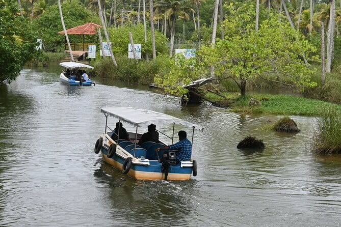 Private Backwater Boat Cruise Tour in Poovar near Trivandrum - Poovar’s mangrove canals, and why private matters here