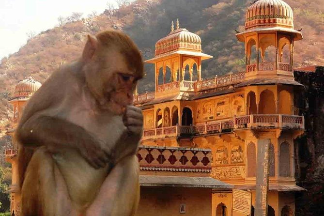 Private Day Trip to Abhaneri Stepwell & Monkey Temple from Jaipur - Galtaji Monkey Temple, temples on the hills and water tanks with a purpose