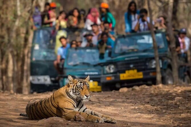 Private Delhi Agra Jaipur Multi Day Tour - Key Highlights You Should Know Before You Go