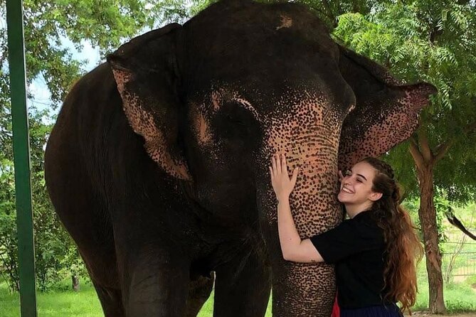 Private Elephant Sanctuary - Pickup, Arrival, and the First Instructions You Actually Need
