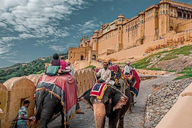 Private Full-Day Jaipur Sightseeing Tour by Car with Driver - Albert Hall Museum in Ram Niwas Garden: Indo-Saracenic Culture Stop