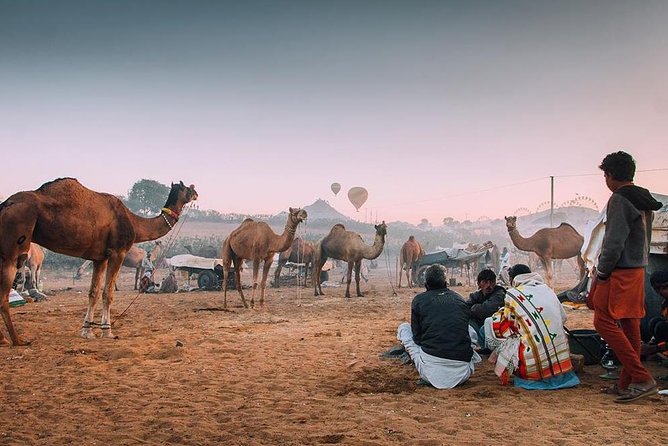 Private Full Day Jaipur Sightseeing Tour By Tuk-Tuk (Rickshaw) - Hawa Mahal: the stop that teaches you how Jaipur looks
