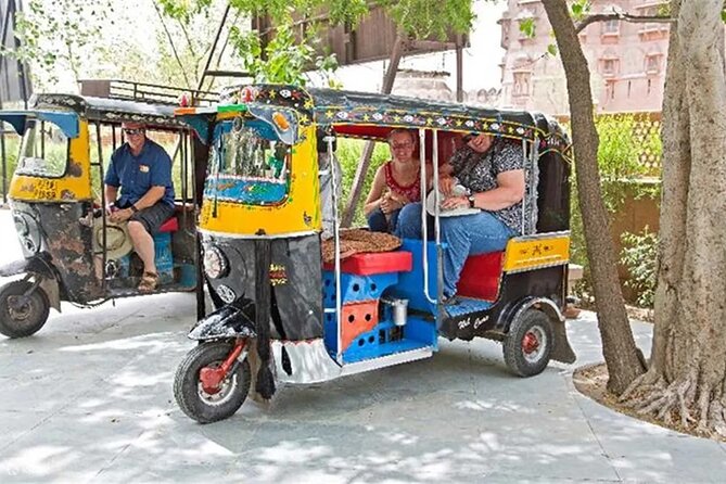 Private Full-Day Jaipur Tuk-Tuk Tour with the Monkey Temple - Riding Jaipur by Tuk Tuk, Plus How to Handle the Traffic