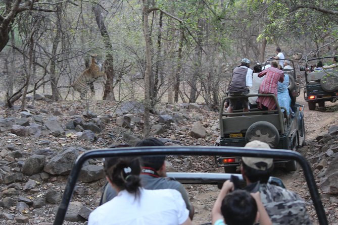 Private Full Day Trip to Ranthambore - Arriving Around 12:30, Check-In, and Paperwork Inside the Gate