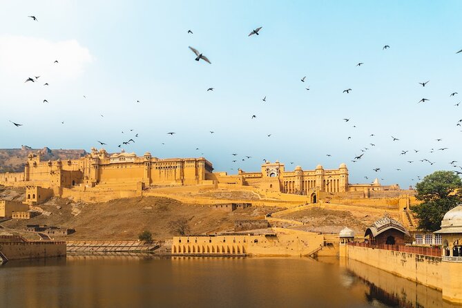 Private Guided Half Day Tour Jaipur - Optional lunch and shopping, without letting the day drift