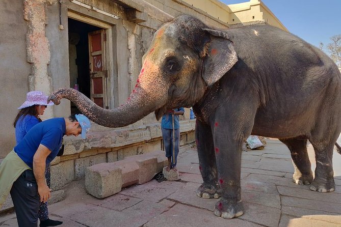 Private guided tour of must visit places in Karnataka in a week - Key Highlights You’ll Actually Feel In Real Time