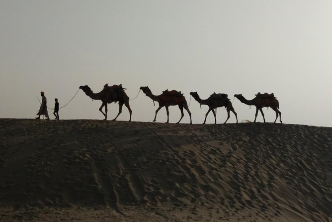 Private Heritage Walking Tour in Jaisalmer Fort and Old Bazaar - Stop 1: Jaisalmer Fort, Jain temples, lanes, and a tea viewpoint