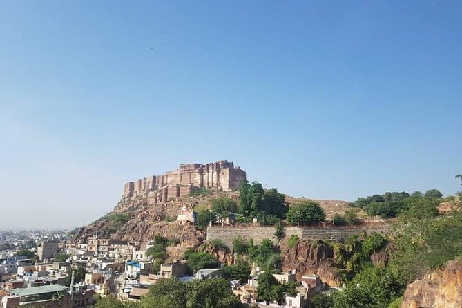 Private Jaipur Full Day Tour - Albert Hall Museum: a calm break from outdoor heat