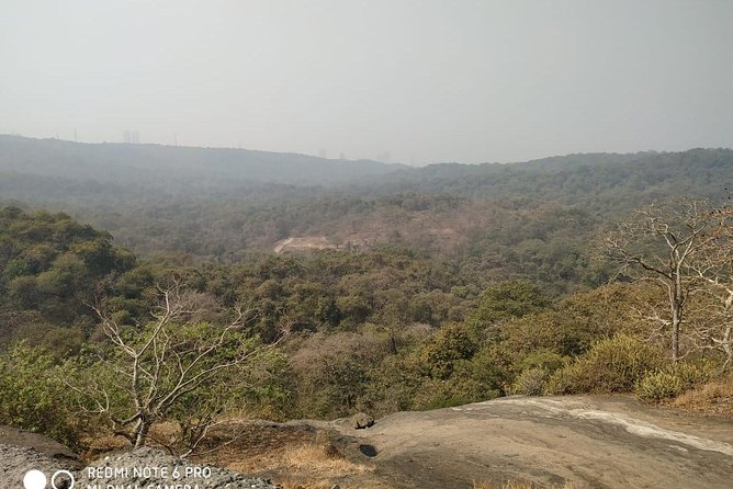 Private Kanheri- Buddhist Cave Tour - The stupa moment: why it’s worth not skipping the shrine