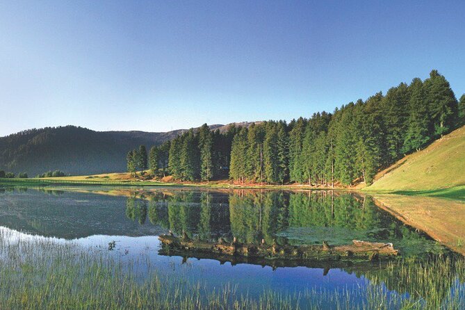 Private Kashmir Family 7-Day Tour - Day 5: Srinagar return with half-day sightseeing and Shankaracharya stop