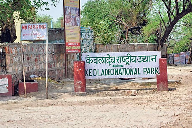 Private Keoladeo National Park Tour sightseeing - All Inclusive - What to Bring for a Comfortable Park Spotting Session